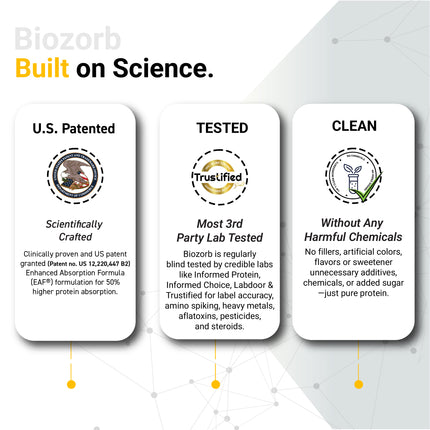 MuscleBlaze Biozorb Performance Whey, Rich Chocolate